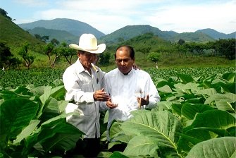 Don Víctor y Francisco Rodríguez en el tabacal