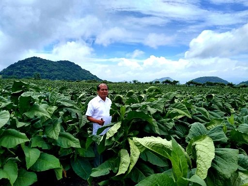 Francisco Rodríguez en el tabacal